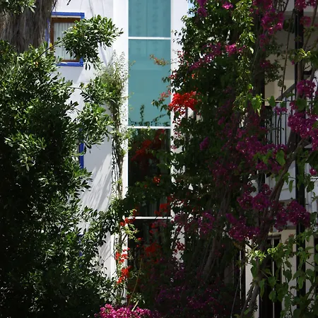 Sami Ξενοδοχείο Gümbet